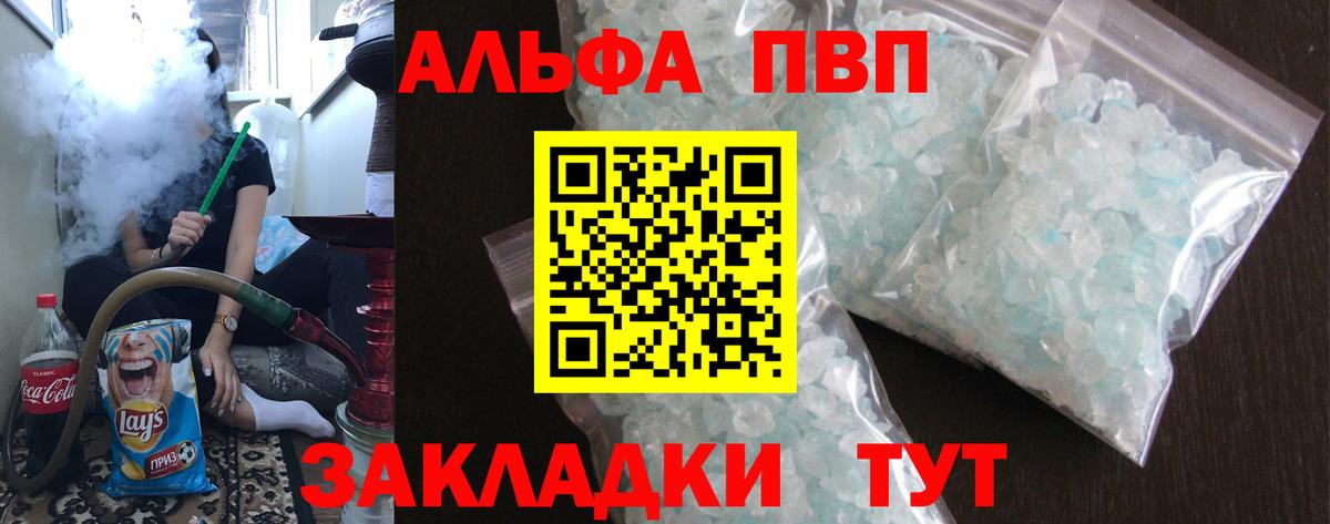 Alfa_PVP СК КРИС Коряжма