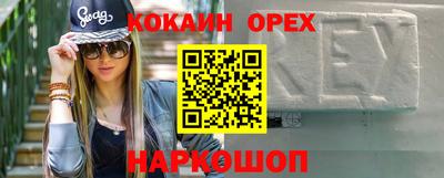 СК Кингисепп