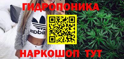 прущая мука Кимры