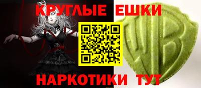 СК Кингисепп