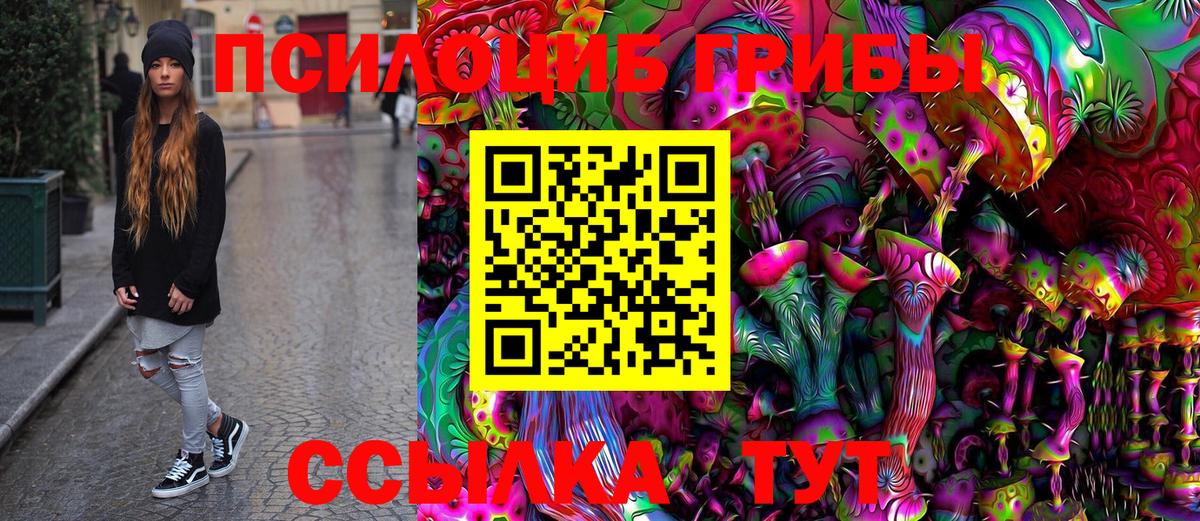 Коряжма  Галлюциногенные грибы Magic Shrooms  Вход с VPN 