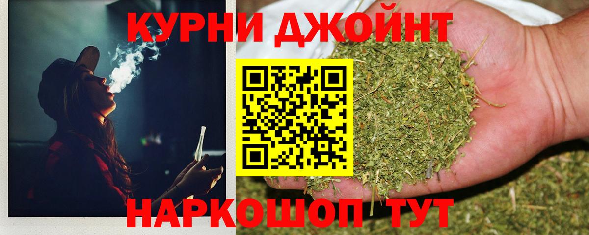 Канабис сатива Коряжма
